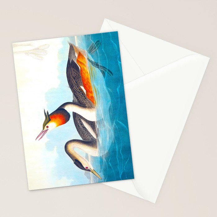 Great Crested Grebe Bird Stationery Card Gallery Image 2