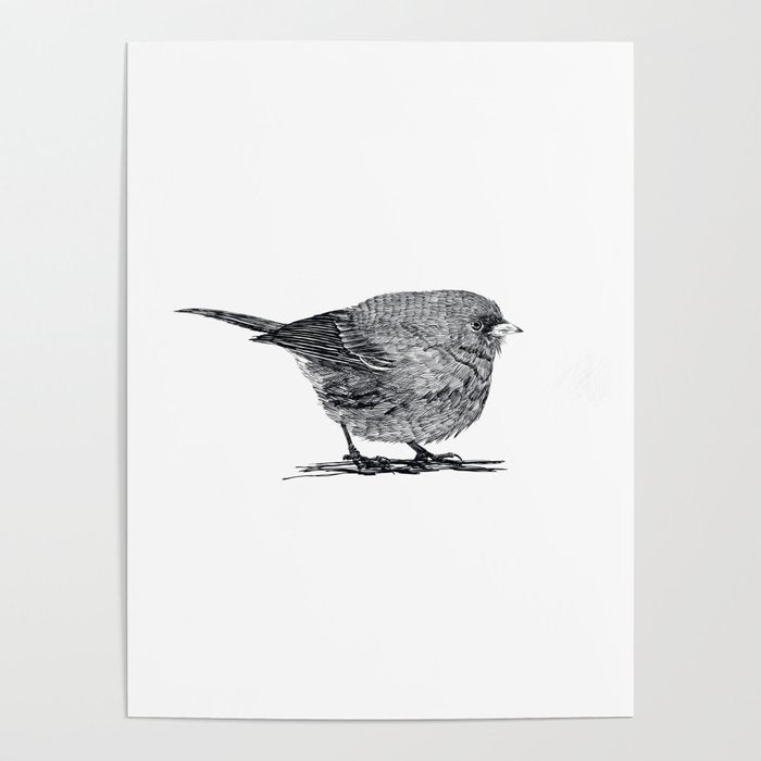 Vintage bird illustration  Poster Gallery Image 4