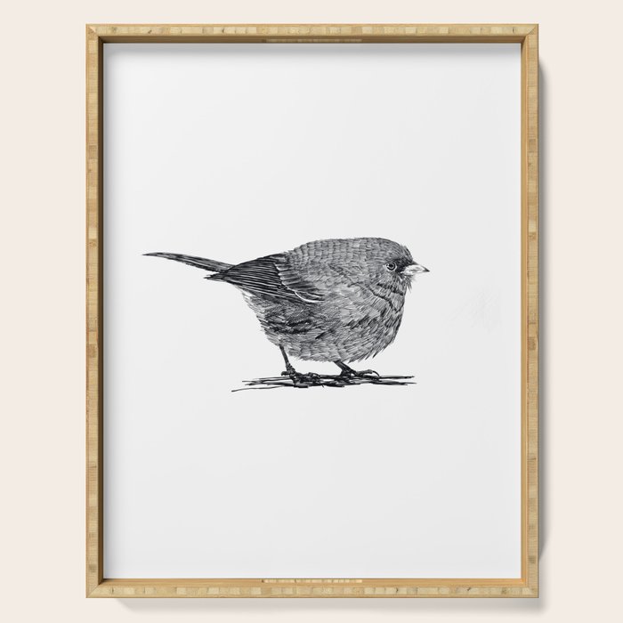 Vintage bird illustration  Serving Tray Gallery Image 1