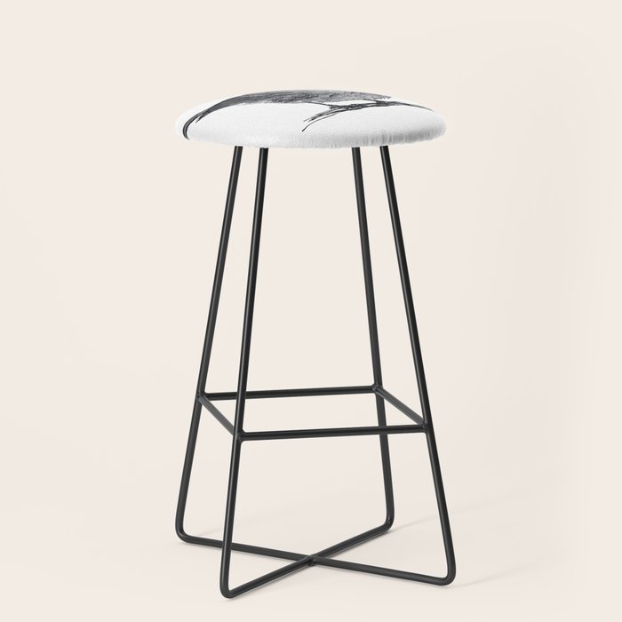 Vintage bird illustration  Stool Gallery Image 1