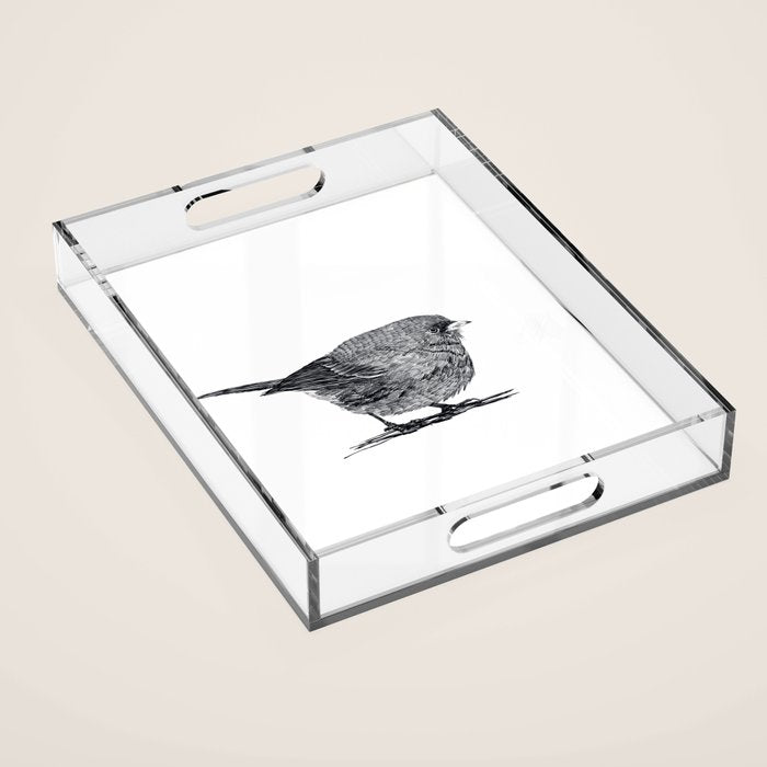 Vintage bird illustration  Acrylic Tray Gallery Image 1