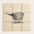 Vintage bird illustration  Wood Wall Art Gallery Image 1