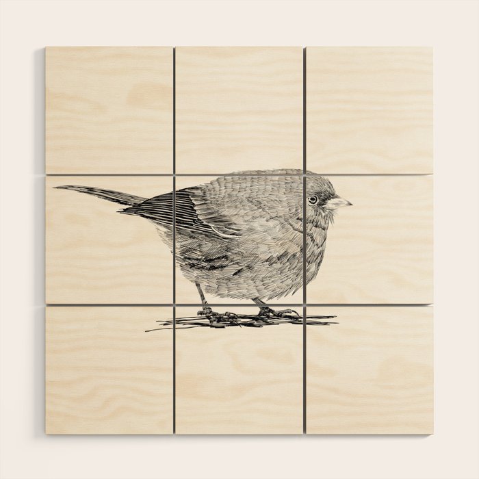 Vintage bird illustration  Wood Wall Art Gallery Image 1