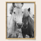 Black and White Horses Serving Tray Gallery Image 1