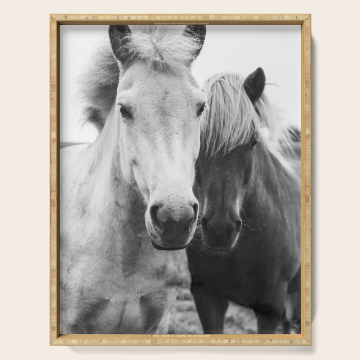 Black and White Horses Serving Tray Gallery Image 1
