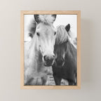 Black and White Horses Mini Art Print Gallery Image 1