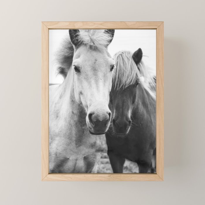 Black and White Horses Mini Art Print Gallery Image 1