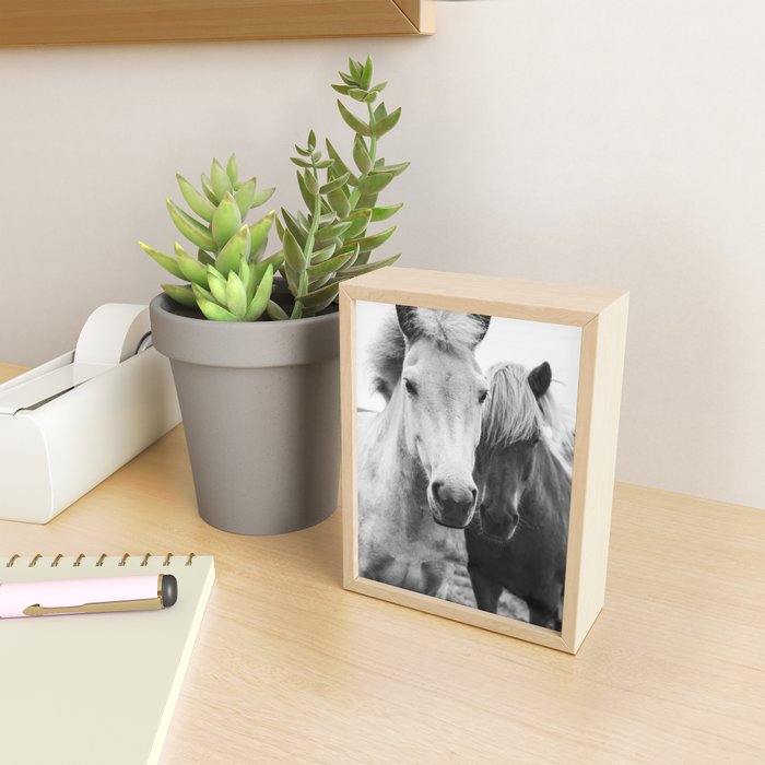 Black and White Horses Mini Art Print Gallery Image 2