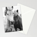 Black and White Horses Stationery Card Gallery Image 2