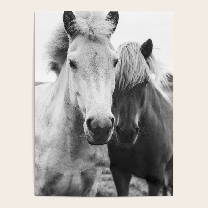 Black and White Horses Poster Gallery Image 4