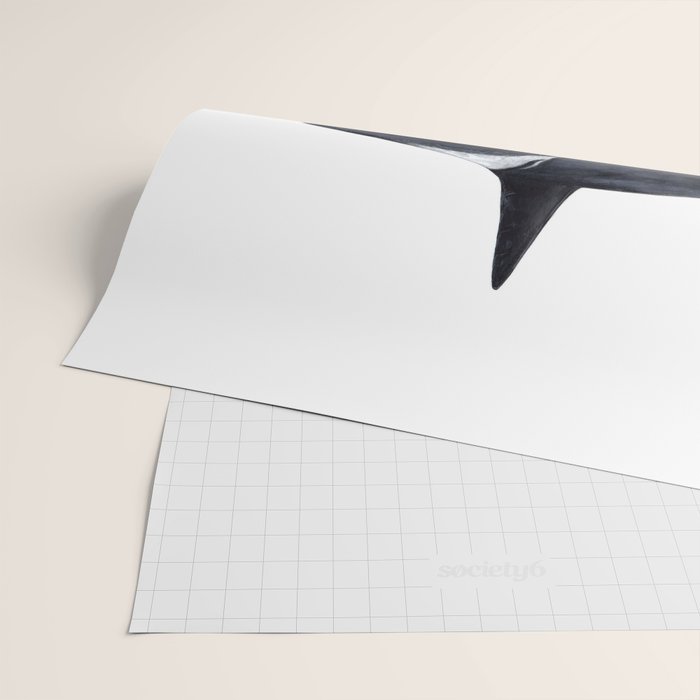 Orca (Orcinus orca) Wrapping Paper Gallery Image 2