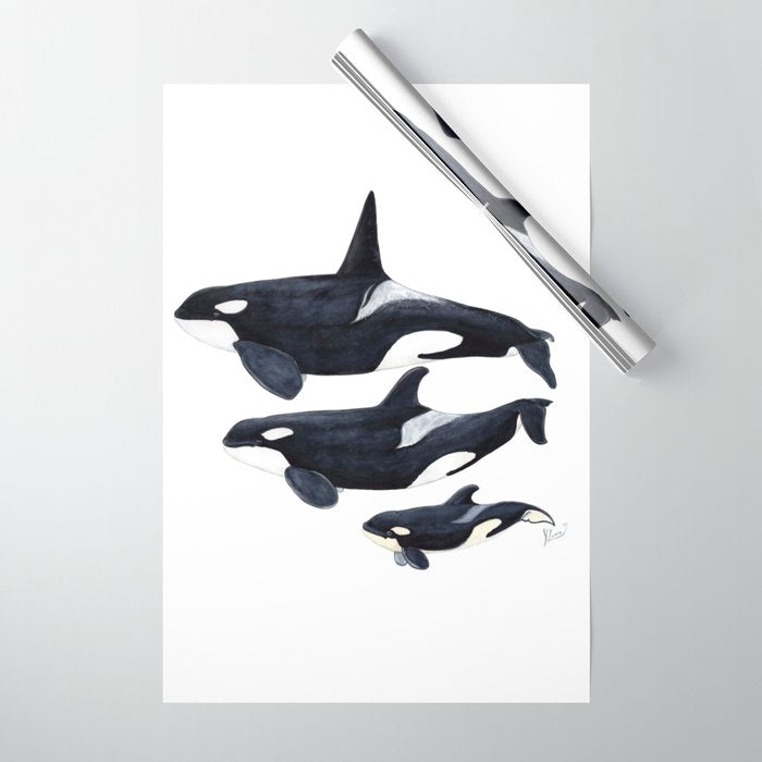 Orca (Orcinus orca) Wrapping Paper Gallery Image 1