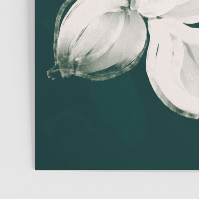 White Flowers On Green Poster Gallery Image 3
