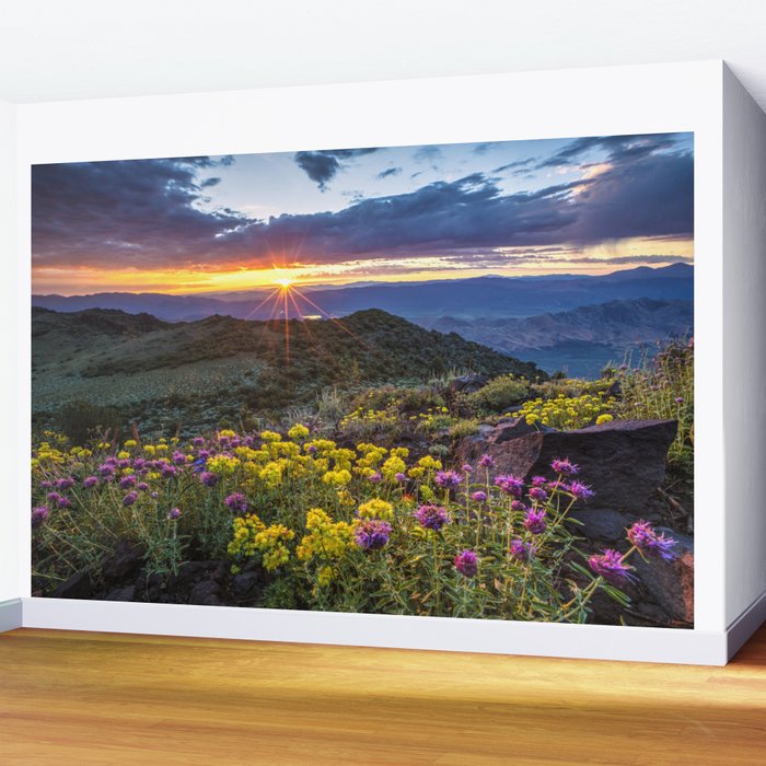 Last glimmer of mountain sunset,  Monitor Pass Topaz Lake, Nevada panoramic wildflower  photograph Wall Mural Gallery Image 2