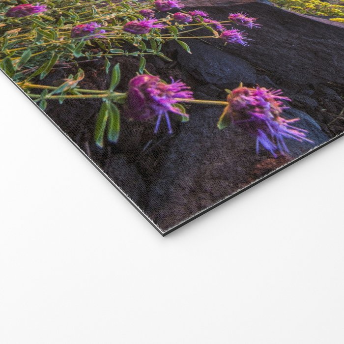 Last glimmer of mountain sunset,  Monitor Pass Topaz Lake, Nevada panoramic wildflower  photograph Welcome Mat Gallery Image 2