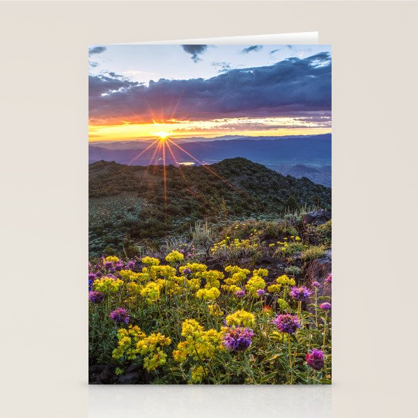 Last glimmer of mountain sunset,  Monitor Pass Topaz Lake, Nevada panoramic wildflower  photograph Stationery Card Gallery Image 1