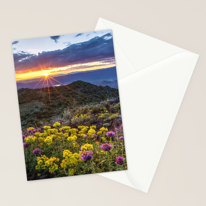 Last glimmer of mountain sunset,  Monitor Pass Topaz Lake, Nevada panoramic wildflower  photograph Stationery Card Gallery Image 2