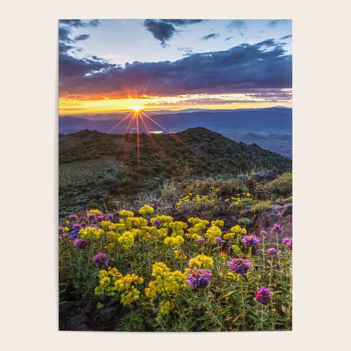Last glimmer of mountain sunset,  Monitor Pass Topaz Lake, Nevada panoramic wildflower  photograph Poster Gallery Image 4