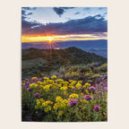 Last glimmer of mountain sunset,  Monitor Pass Topaz Lake, Nevada panoramic wildflower  photograph Poster Gallery Image 4