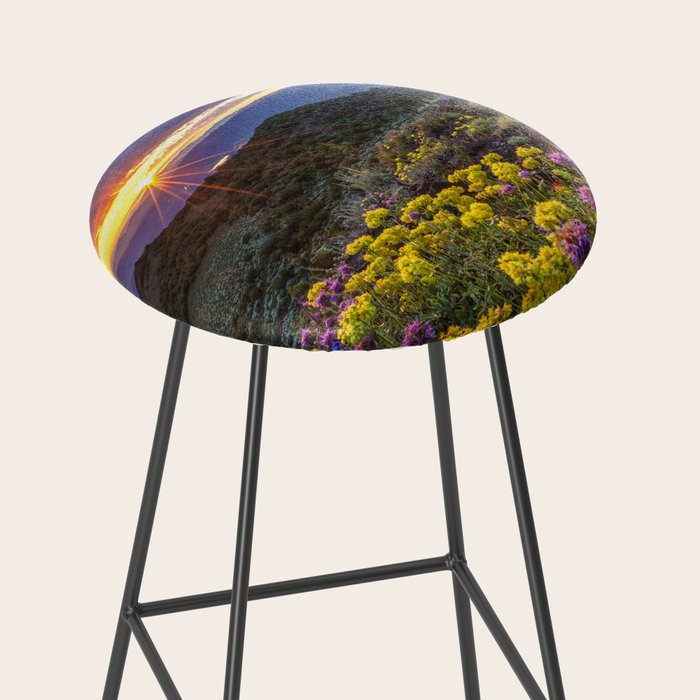 Last glimmer of mountain sunset,  Monitor Pass Topaz Lake, Nevada panoramic wildflower  photograph Stool Gallery Image 2