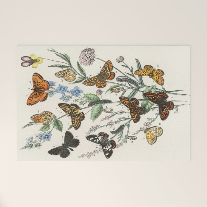 Vintage Scientific Illustration Butterfly Botanical Floral Lithograph Encyclopaedia Diagrams  Welcome Mat Gallery Image 1