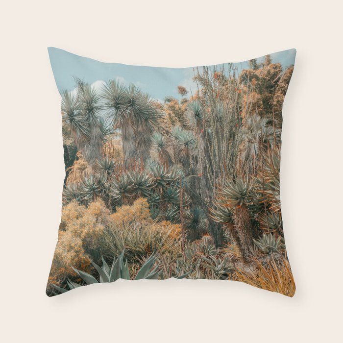 Desert Oasis - California Cactus Garden, Nature, Landscape Photography Throw Pillow Gallery Image 6