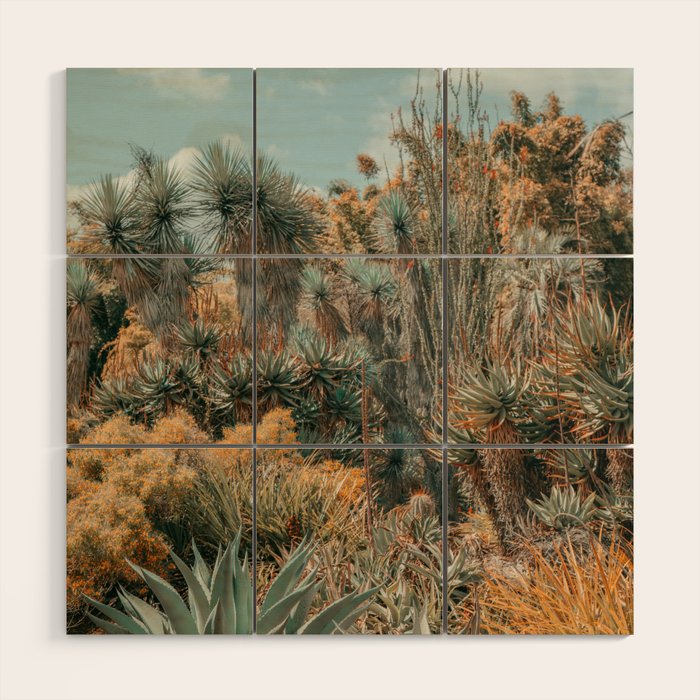 Desert Oasis - California Cactus Garden, Nature, Landscape Photography Wood Wall Art Gallery Image 1