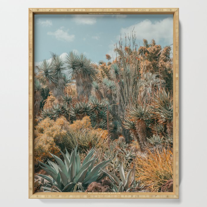 Desert Oasis - California Cactus Garden, Nature, Landscape Photography Serving Tray Gallery Image 1