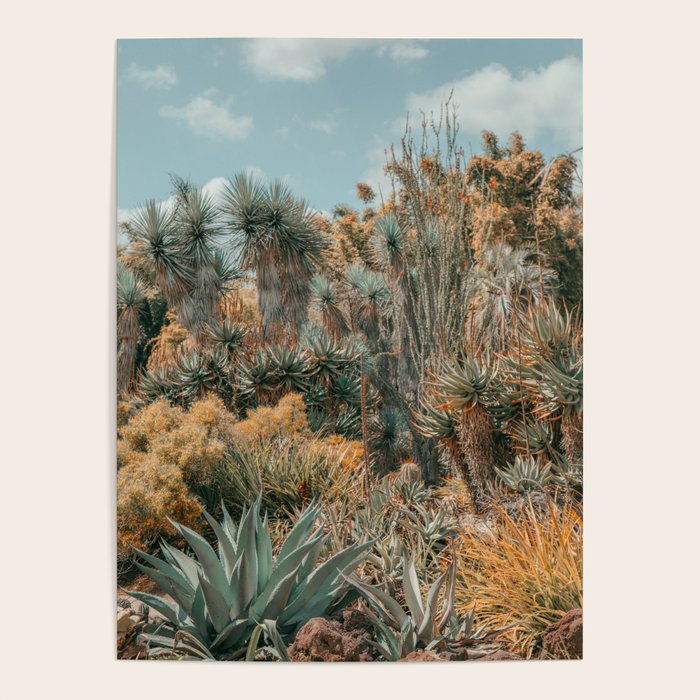 Desert Oasis - California Cactus Garden, Nature, Landscape Photography Poster Gallery Image 4