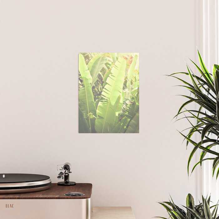 Tropical Banana - Green Poster Gallery Image 2