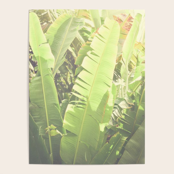 Tropical Banana - Green Poster Gallery Image 1