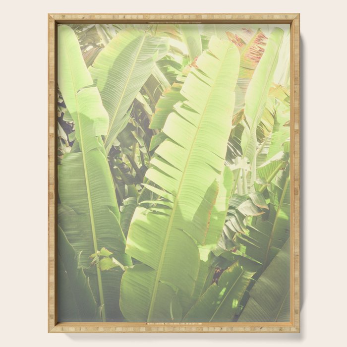 Tropical Banana - Green Serving Tray Gallery Image 1