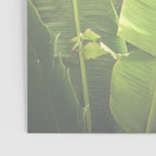 Tropical Banana - Green Poster Gallery Image 3