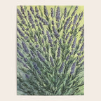 Lavender Love Poster Gallery Image 4