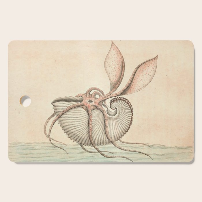 Argonauta Argo octopus (paper nautilus) by Frederick Nodder, 1793 Cutting Board Gallery Image 1