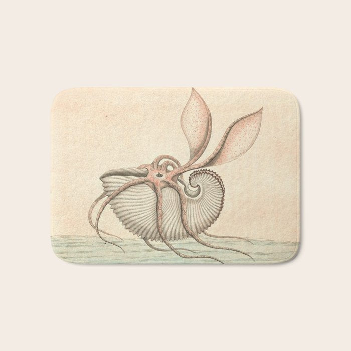 Argonauta Argo octopus (paper nautilus) by Frederick Nodder, 1793 Bath Mat Gallery Image 1