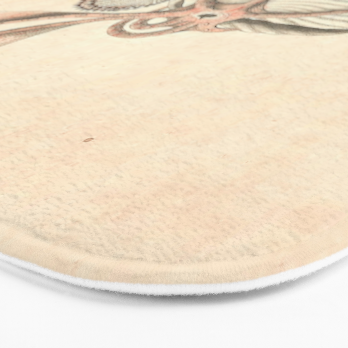 Argonauta Argo octopus (paper nautilus) by Frederick Nodder, 1793 Bath Mat Gallery Image 3