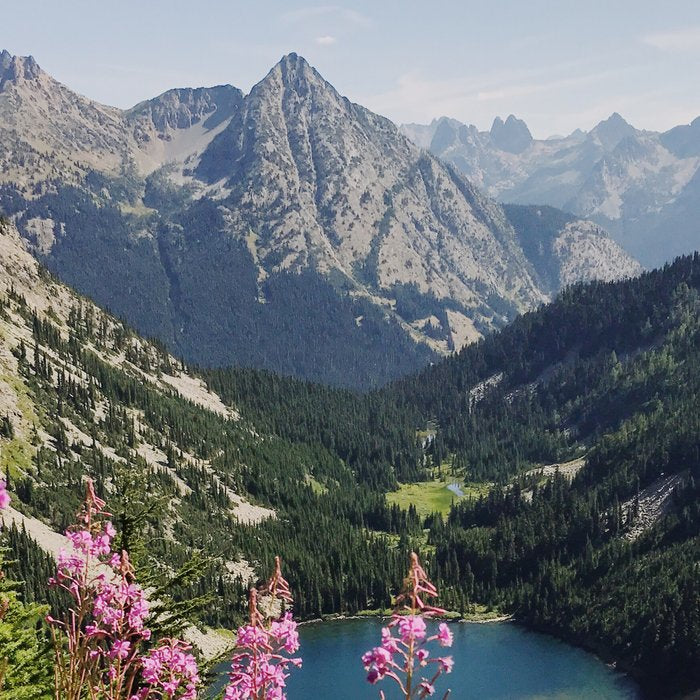 Cascade Summer Wildflowers Coffee Mug Gallery Image 2