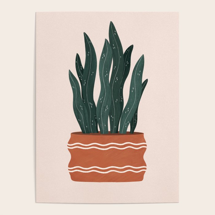 sanseveria Poster Gallery Image 4