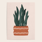 sanseveria Poster Gallery Image 4