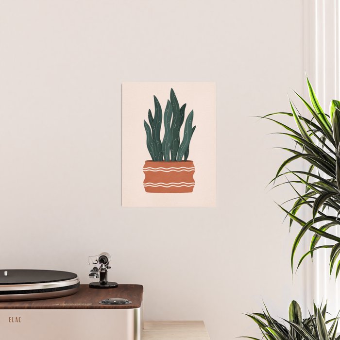 sanseveria Poster Gallery Image 2