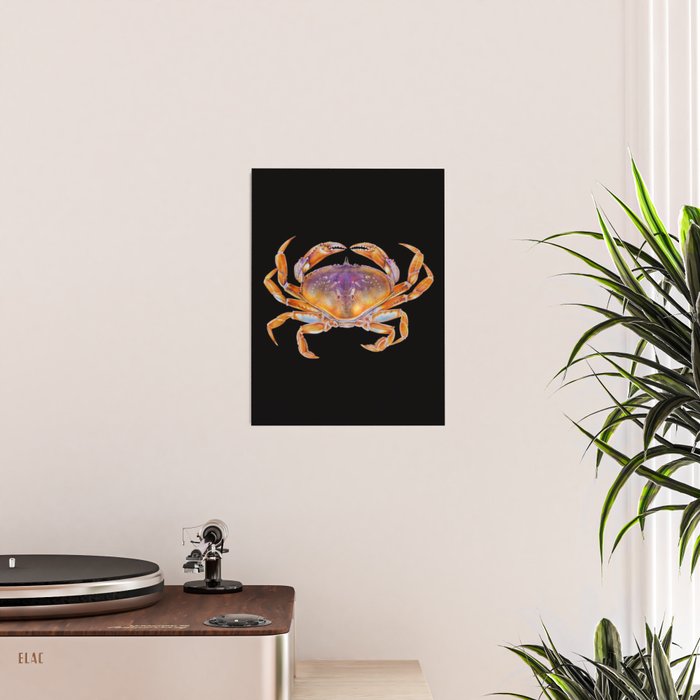Dungeness crab Poster Gallery Image 2