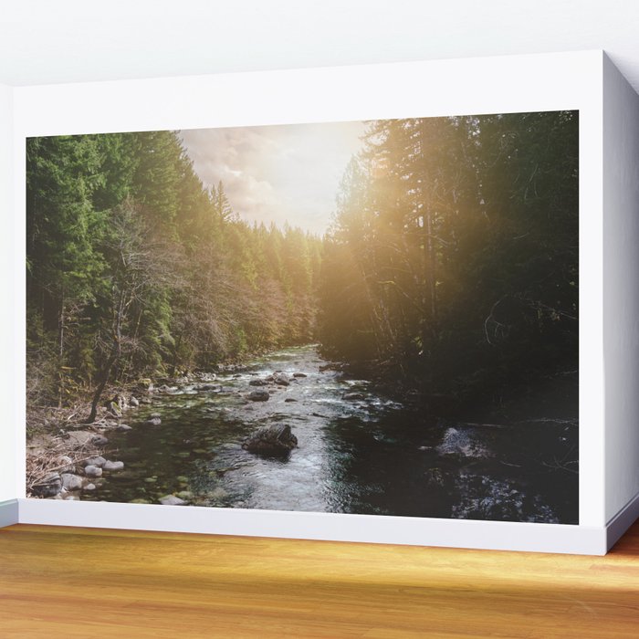 A Pacific Northwest River Adventure - 64/365 Nature Photography Wall Mural Gallery Image 2