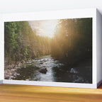 A Pacific Northwest River Adventure - 64/365 Nature Photography Wall Mural Gallery Image 2