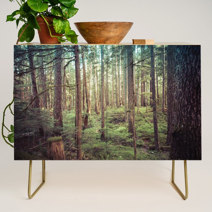 Outdoor Adventure Credenza Gallery Image 1