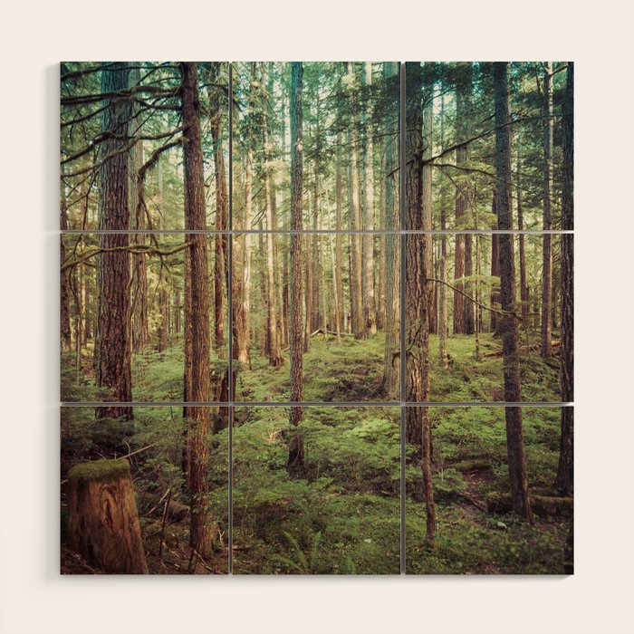 Outdoor Adventure Wood Wall Art Gallery Image 1