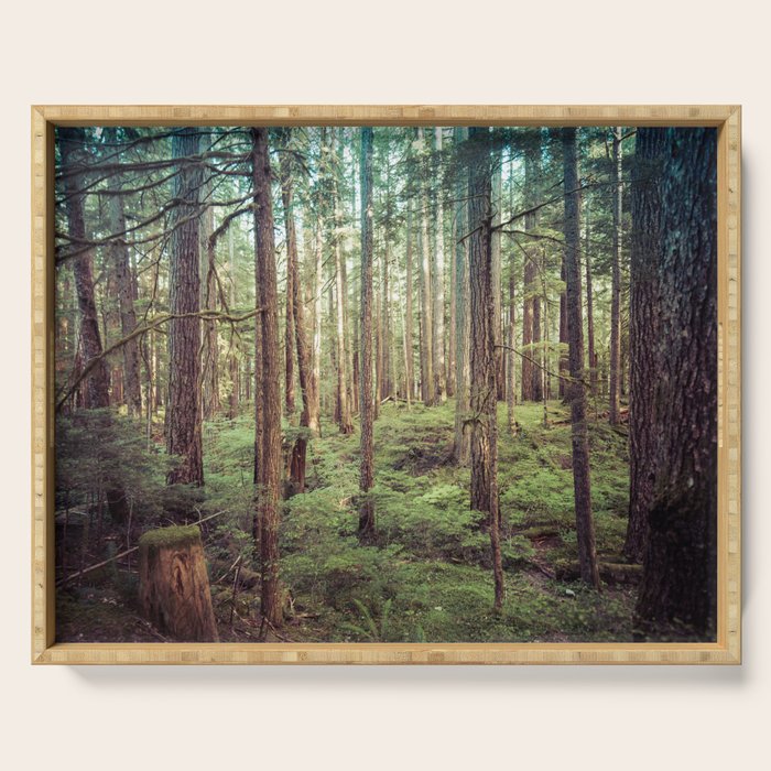 Outdoor Adventure Serving Tray Gallery Image 1
