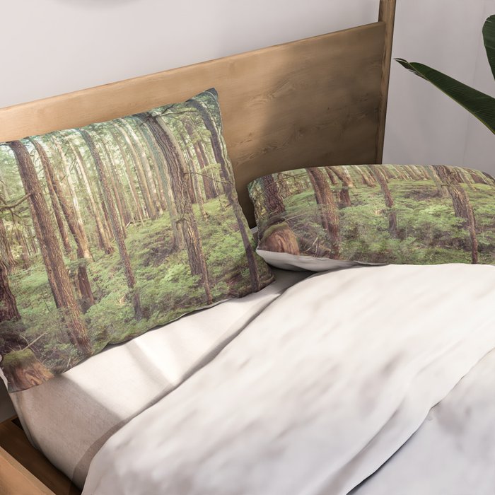 Outdoor Adventure Pillow Sham Gallery Image 2