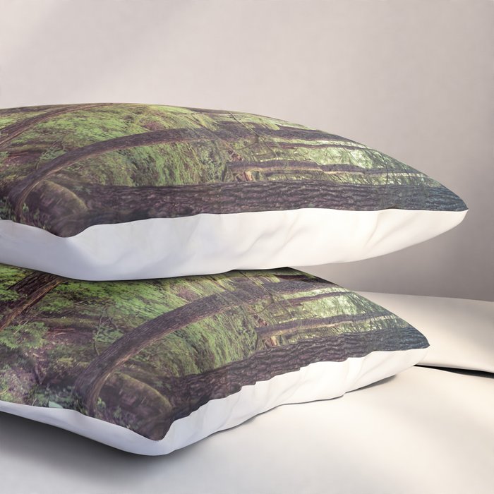 Outdoor Adventure Pillow Sham Gallery Image 3