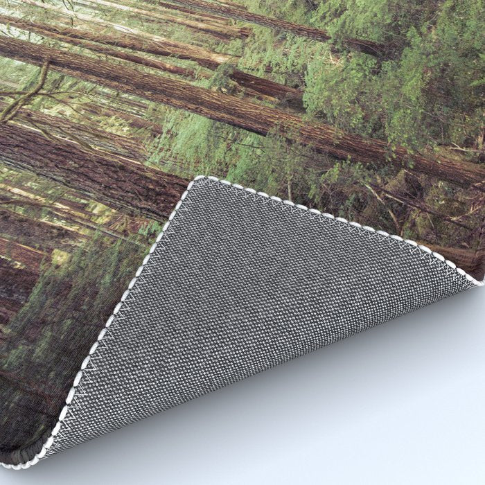 Outdoor Adventure Rug Gallery Image 4